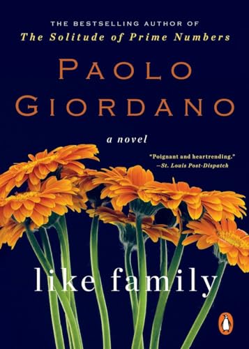 Stock image for Like Family: A Novel for sale by SecondSale