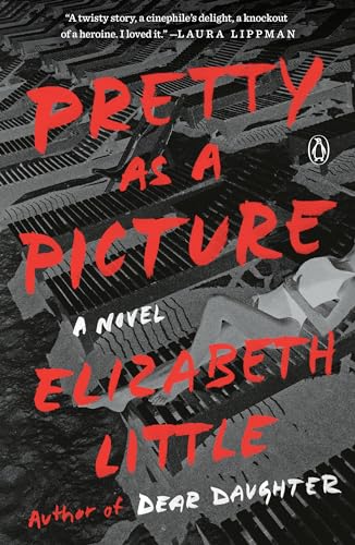 Beispielbild fr Pretty as a Picture: A Novel zum Verkauf von BooksRun