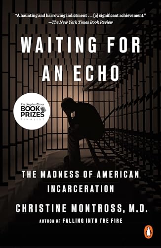 Beispielbild fr Waiting for an Echo: The Madness of American Incarceration zum Verkauf von BooksRun