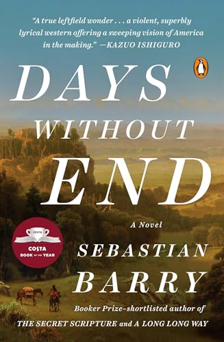 Beispielbild fr Days Without End: A Novel zum Verkauf von BooksRun