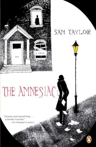 Stock image for The Amnesiac for sale by Wonder Book