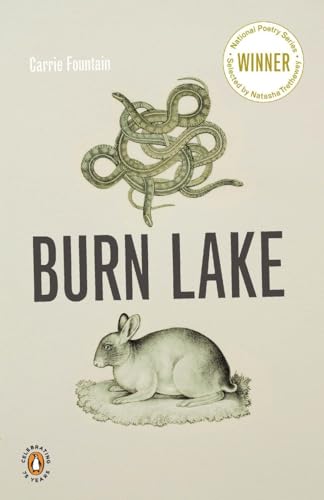 9780143117711: Burn Lake