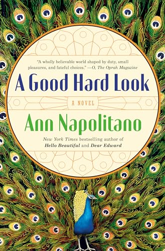 9780143121152: A Good Hard Look: A Novel