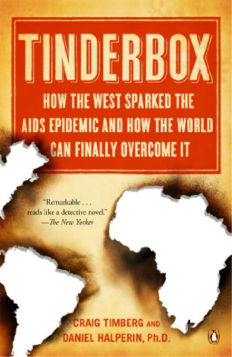 Imagen de archivo de Tinderbox: How the West Sparked the AIDS Epidemic and How the World Can Finally Overcome It a la venta por Orion Tech