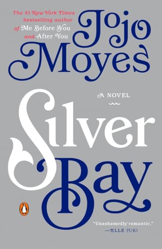 9780143126485: Silver Bay: A Novel