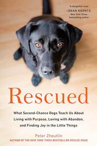 Imagen de archivo de Rescued: What Second-Chance Dogs Teach Us About Living with Purpose, Loving with Abandon, and Finding Joy in the Little Things a la venta por Gulf Coast Books