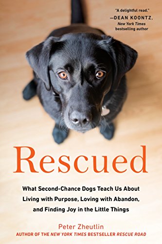 Stock image for Rescued: What Second-Chance Dogs Teach Us About Living with Purpose, Loving with Abandon, and Finding Joy in the Little Things for sale by Gulf Coast Books