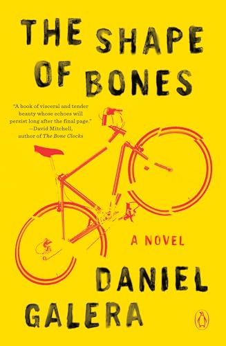 Imagen de archivo de The Shape of Bones: A Novel a la venta por Open Books