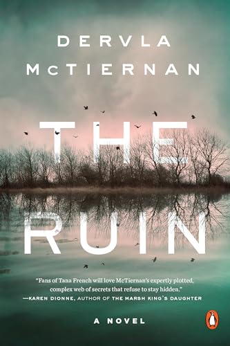 Stock image for The Ruin: A Novel (A Cormac Reilly Mystery) for sale by Your Online Bookstore