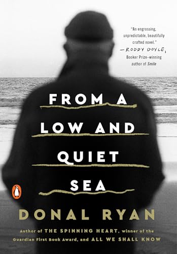 Stock image for From a Low and Quiet Sea: A Novel for sale by SecondSale