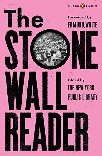Beispielbild fr The Stonewall Reader zum Verkauf von AwesomeBooks