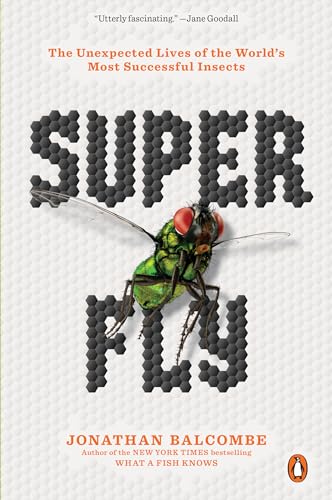 Beispielbild fr Super Fly : The Unexpected Lives of the World's Most Successful Insects zum Verkauf von Better World Books