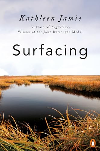 Stock image for Surfacing for sale by Dream Books Co.