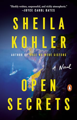 9780143135180: Open Secrets: A Novel