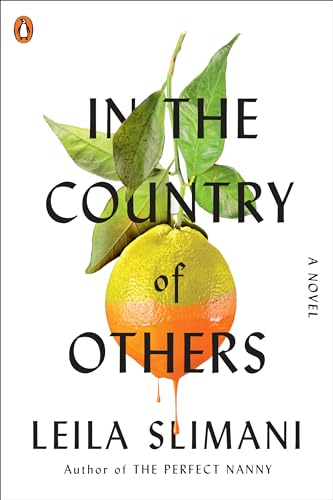 Beispielbild fr In the Country of Others : A Novel zum Verkauf von Better World Books