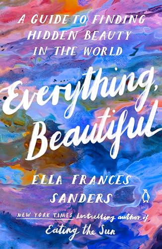 Imagen de archivo de Everything, Beautiful: A Guide to Finding Hidden Beauty in the World a la venta por Goodwill of Colorado