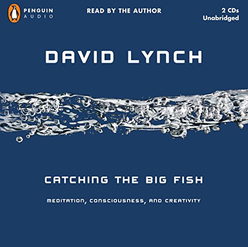 9780143142072: Catching the Big Fish: Meditation, Consciousness, and Creativity