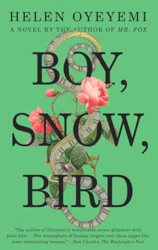 Beispielbild fr Boy, Snow, Bird zum Verkauf von HPB Inc.