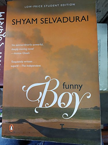 Stock image for Funny Boy for sale by Majestic Books