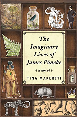 Imagen de archivo de The Imaginary Lives of James Poneke a la venta por Reuseabook