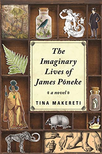 Stock image for The Imaginary Lives of James Poneke for sale by Reuseabook