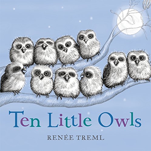 Stock image for Ten Little Owls for sale by Books Unplugged