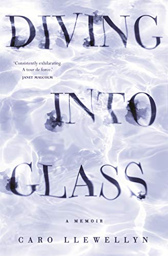 Beispielbild fr Diving into Glass zum Verkauf von Reuseabook