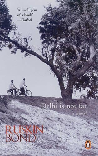 9780144000951: Delhi is Not Far: A Novel