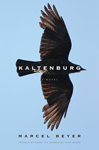 Beispielbild für Kaltenburg zum Verkauf von Hippo Books