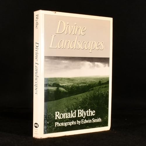 Imagen de archivo de Divine Landscapes a la venta por ThriftBooks-Atlanta