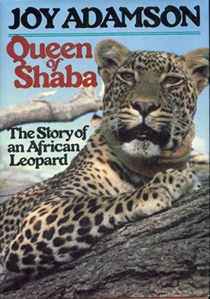 Stock image for Queen of Shaba : The Story of an African Leopard for sale by Wonder Book