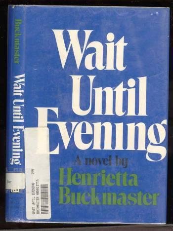 Stock image for Wait until evening for sale by Thomas F. Pesce'