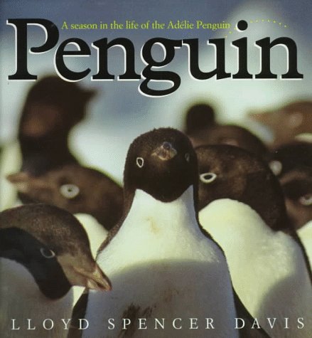 Stock image for Penguin : A Season in the Life of the Adelie Penguin for sale by Better World Books: West