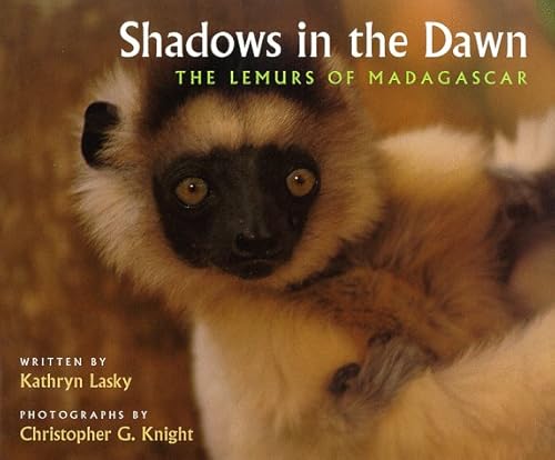Stock image for Shadows in the Dawn: The Lemurs of Madagascar for sale by SecondSale