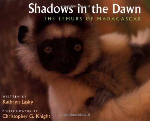 Stock image for Shadows in the Dawn: The Lemurs of Madagascar for sale by Wonder Book