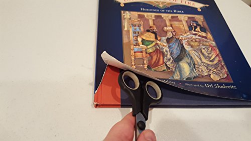 Stock-Bild f�r Daughters of Fire: Heroines of the Bible