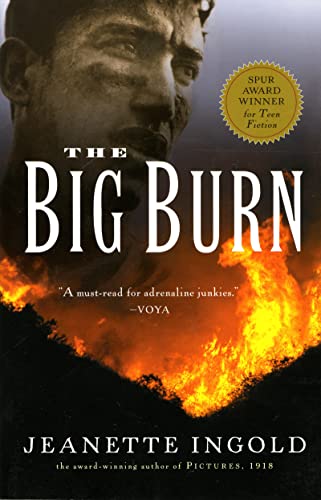 9780152049249: The Big Burn