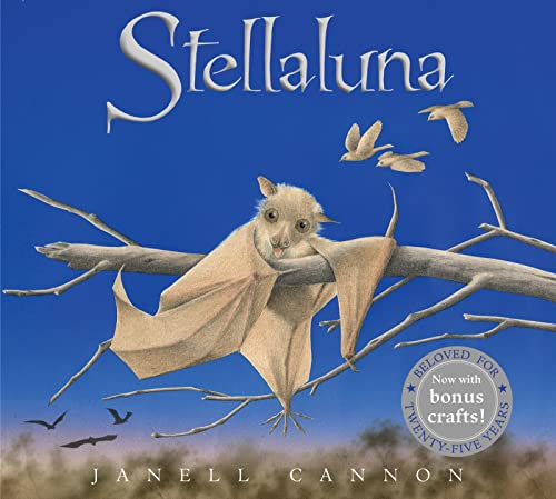 9780152062873: Stellaluna Board Book
