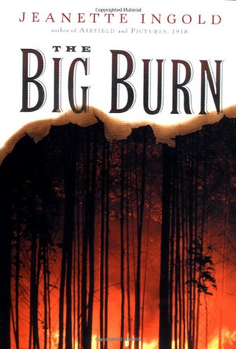 Beispielbild fr The Big Burn zum Verkauf von Irish Booksellers