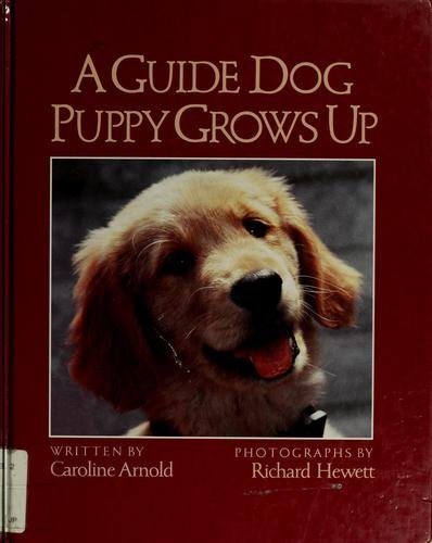 Imagen de archivo de A Guide Dog Puppy Grows Up a la venta por Once Upon A Time Books