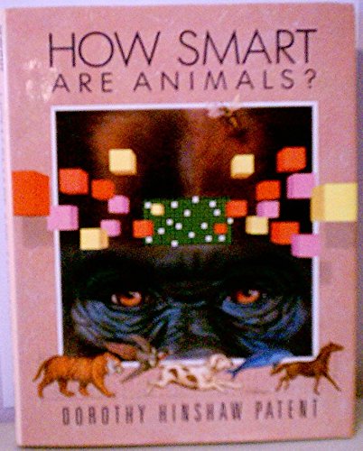 Imagen de archivo de How Smart Are Animals? a la venta por Wonder Book