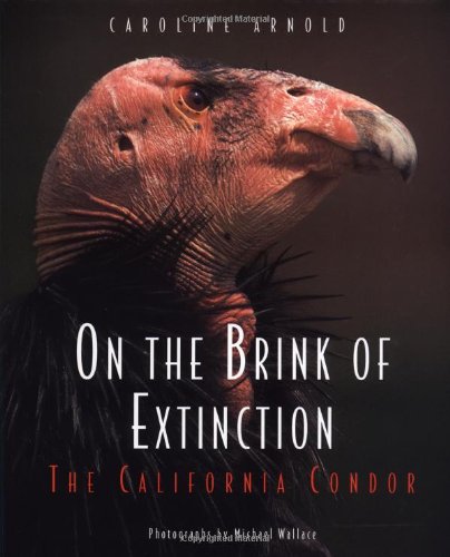 Beispielbild fr On the Brink of Extinction: The California Condor zum Verkauf von More Than Words
