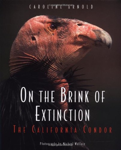 Immagine stock per On the Brink of Extinction: The California Condor