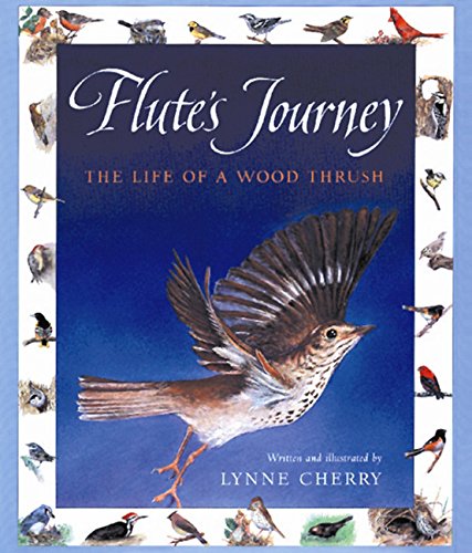 Immagine stock per Flute's Journey: The Life of a Wood Thrush