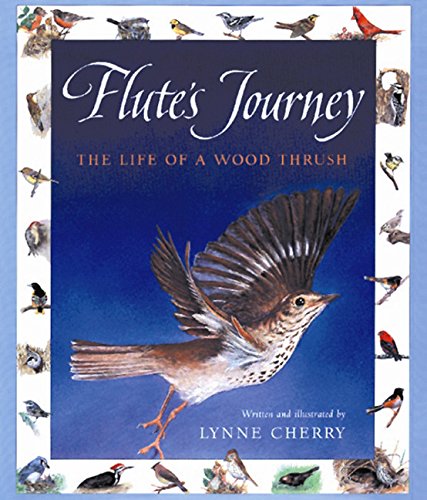 9780152928537: Flute's Journey: The Life of a Wood Thrush