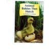 Stock image for Animal Babies That Hatch for sale by Better World Books