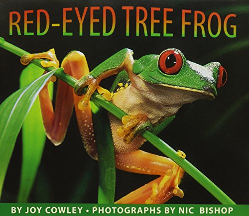 9780153524905: Red-Eyed Tree Frog: Library Book, Grade K (Storytown)
