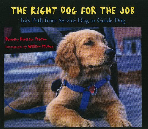 Imagen de archivo de The Right Dog for the Job : IRA's Path from Service Dog to Guide Dog a la venta por Better World Books