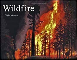 Stock image for Storytown: Challenge Trade Book Story 2008 Grade 4 Wildfire! for sale by Wonder Book