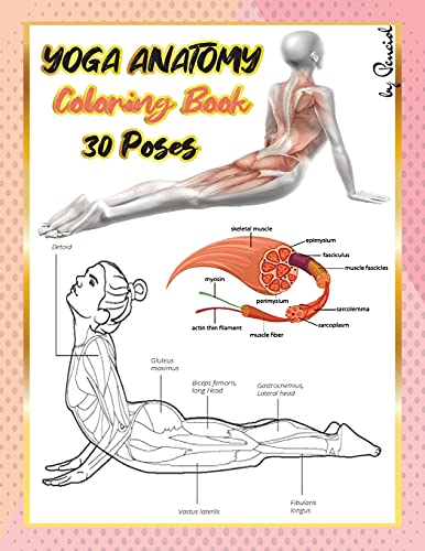 Beispielbild fr Yoga anatomy coloring book: An Adult coloring book with 30 yoga poses - Anatomy yoga book zum Verkauf von Big River Books